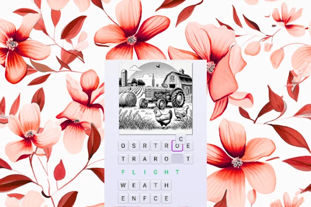 Anagram quiz 3