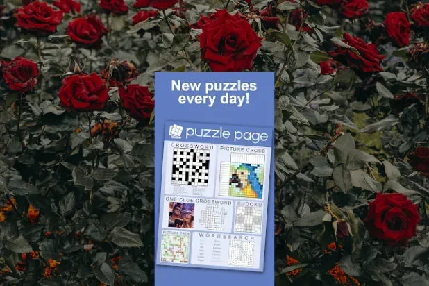 Puzzle Page 3